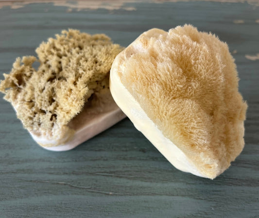 Tarpon Springs Sponge Soaps