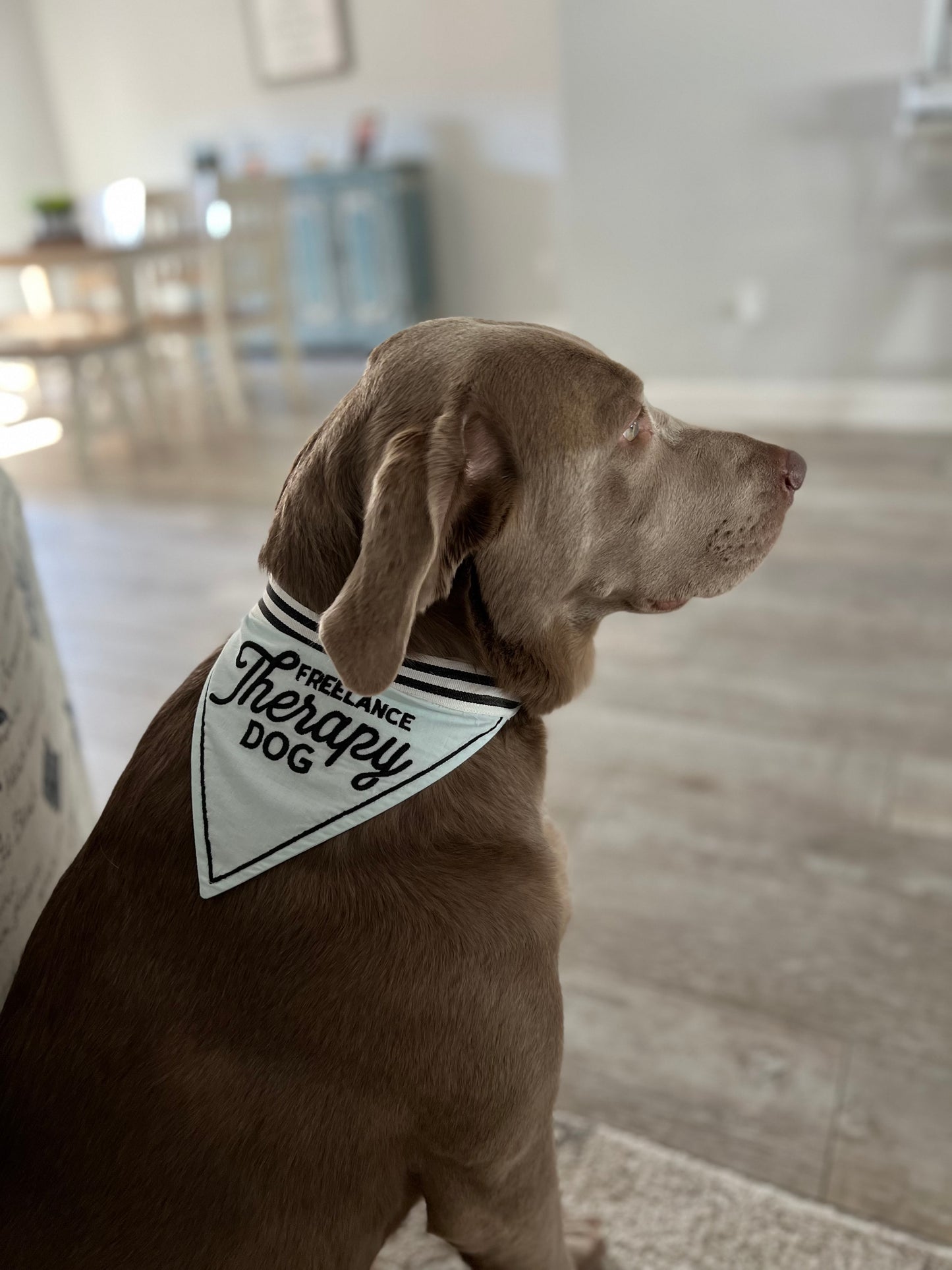 Pet Bandana - Freelance Therapy Dog